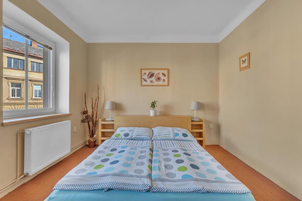 Apartmán U Javorky Lázně Bělohrad Exterior foto